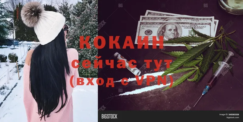 COCAIN Эквадор  где найти наркотики  Будённовск 